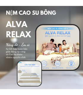 NỆM CAO SU BÔNG GẤP 3 ALVA RELAX