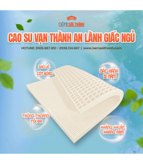 Nệm Cao Su  Vạn Thành Standard