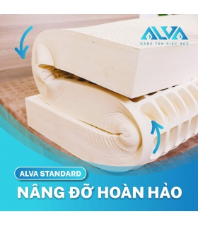 Nệm cao su Alva Standard